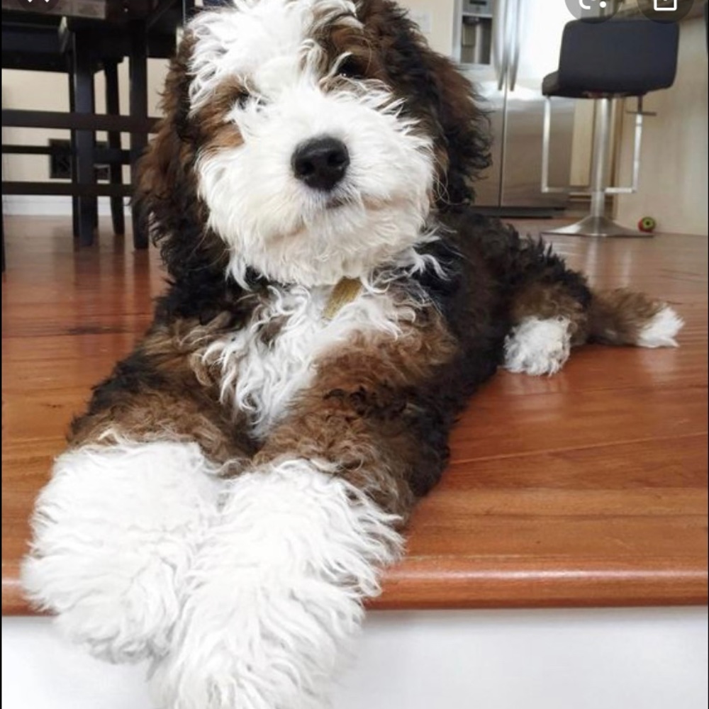 Meet your Posher, Jaimee